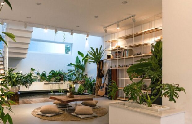 phong cach tropical hinh anh1